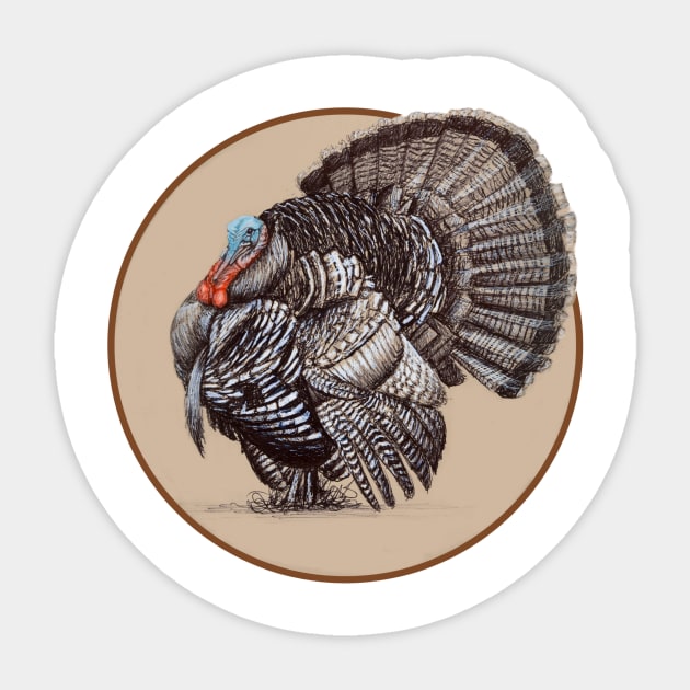 Wild Turkey Sticker by  Cory James Fine Art